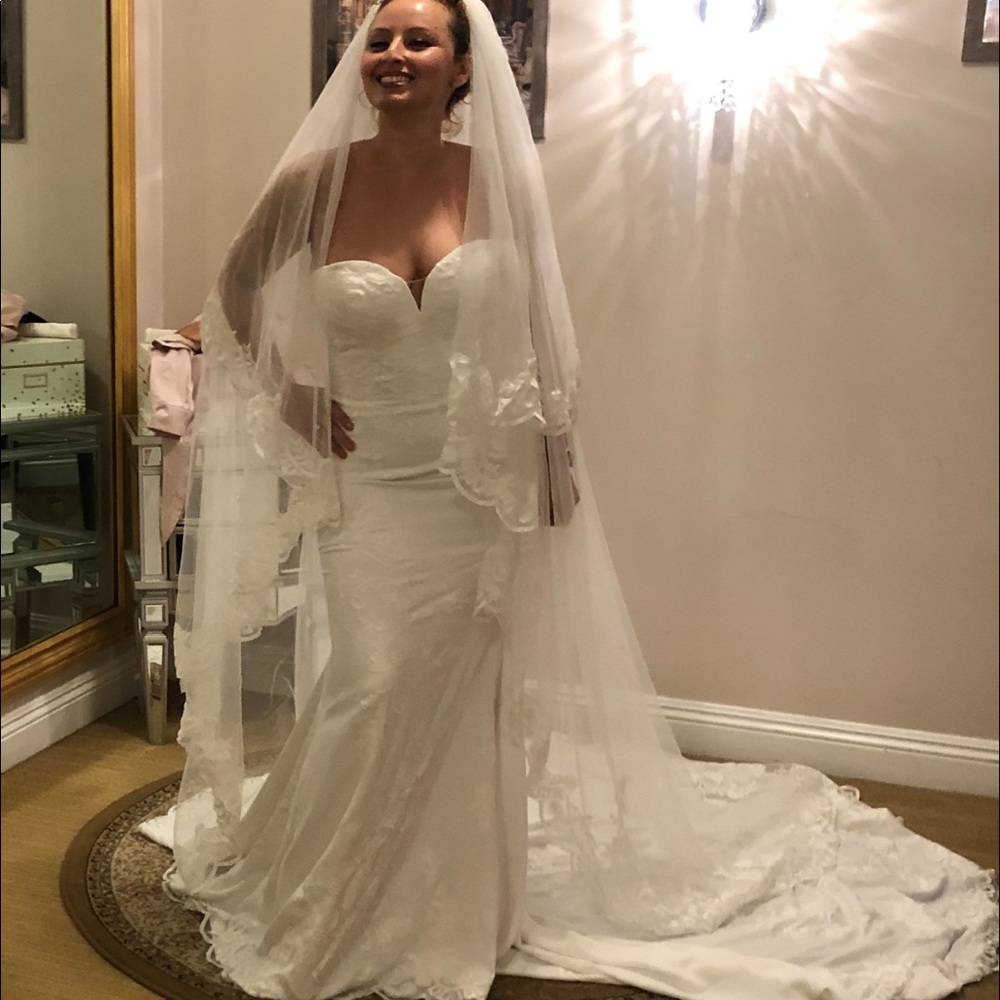 Pronovias  Cathedral Veil- Astrid collection
